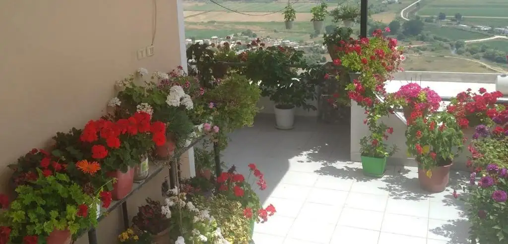 img_id_506232.webp