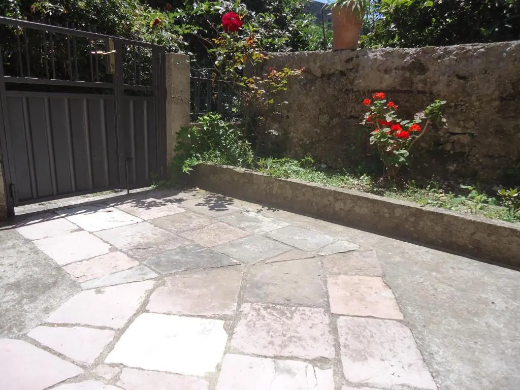img_id_2210419.webp