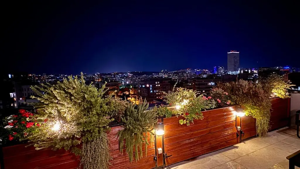 img_id_1038907.webp