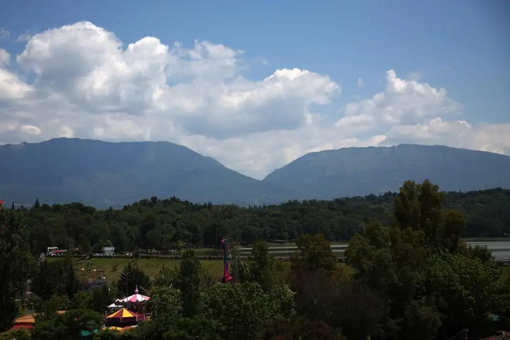img_id_507600.webp