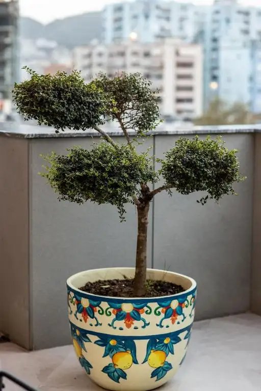 img_id_508735.webp