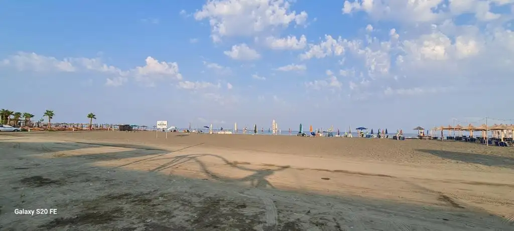 img_id_509152.webp