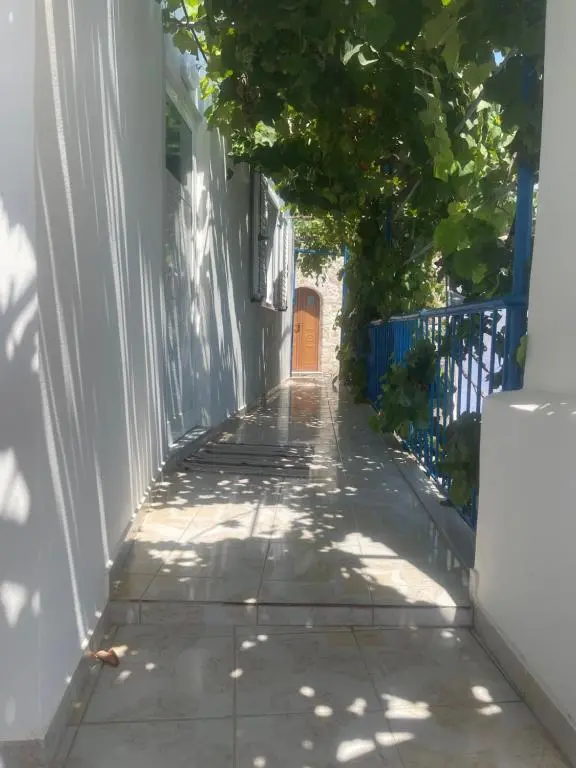 img_id_879854.webp