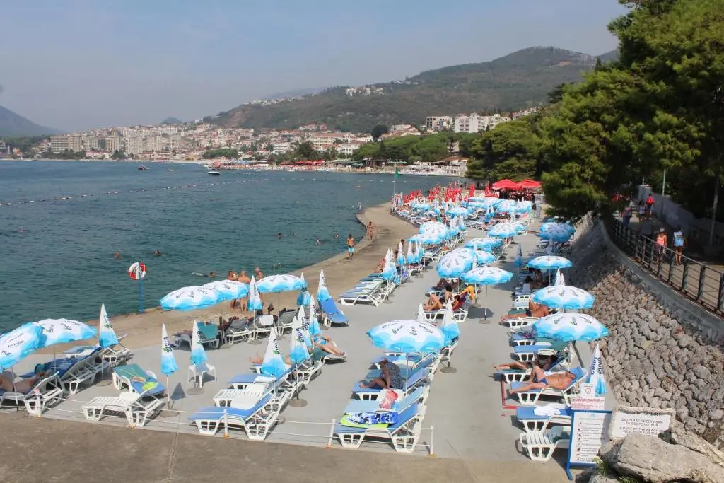 img_id_1625566.webp
