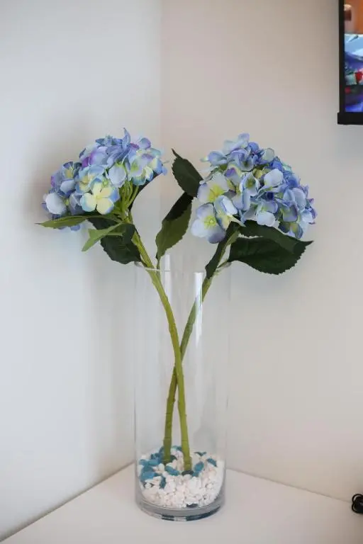 img_id_885475.webp