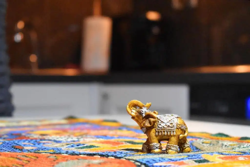 img_id_511660.webp