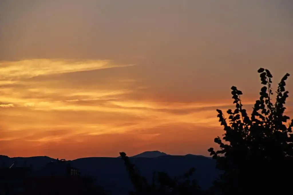 img_id_511838.webp
