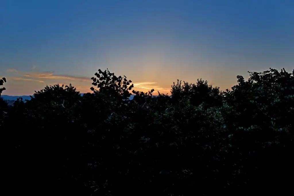 img_id_511856.webp