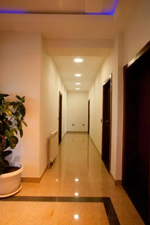 img_id_2208404.webp