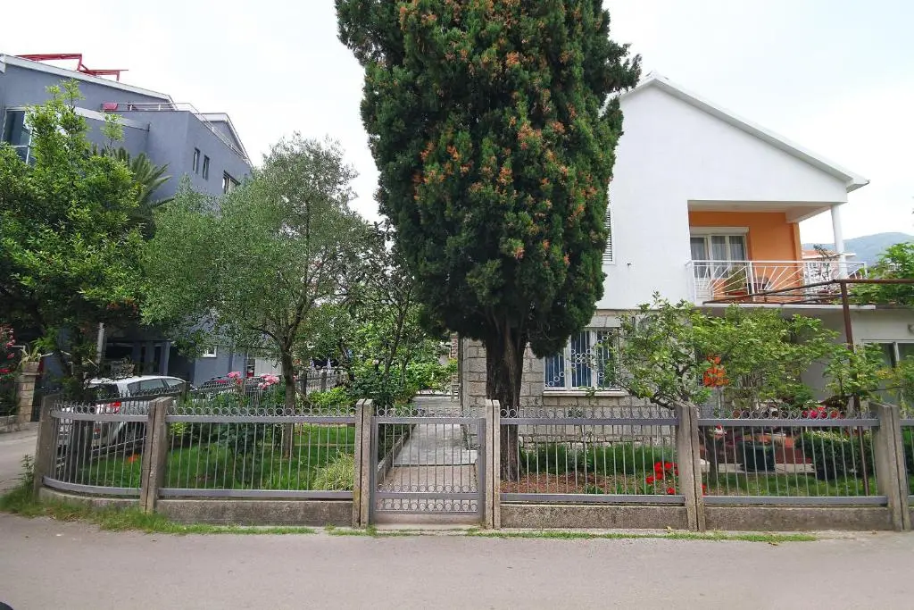 img_id_1622058.webp