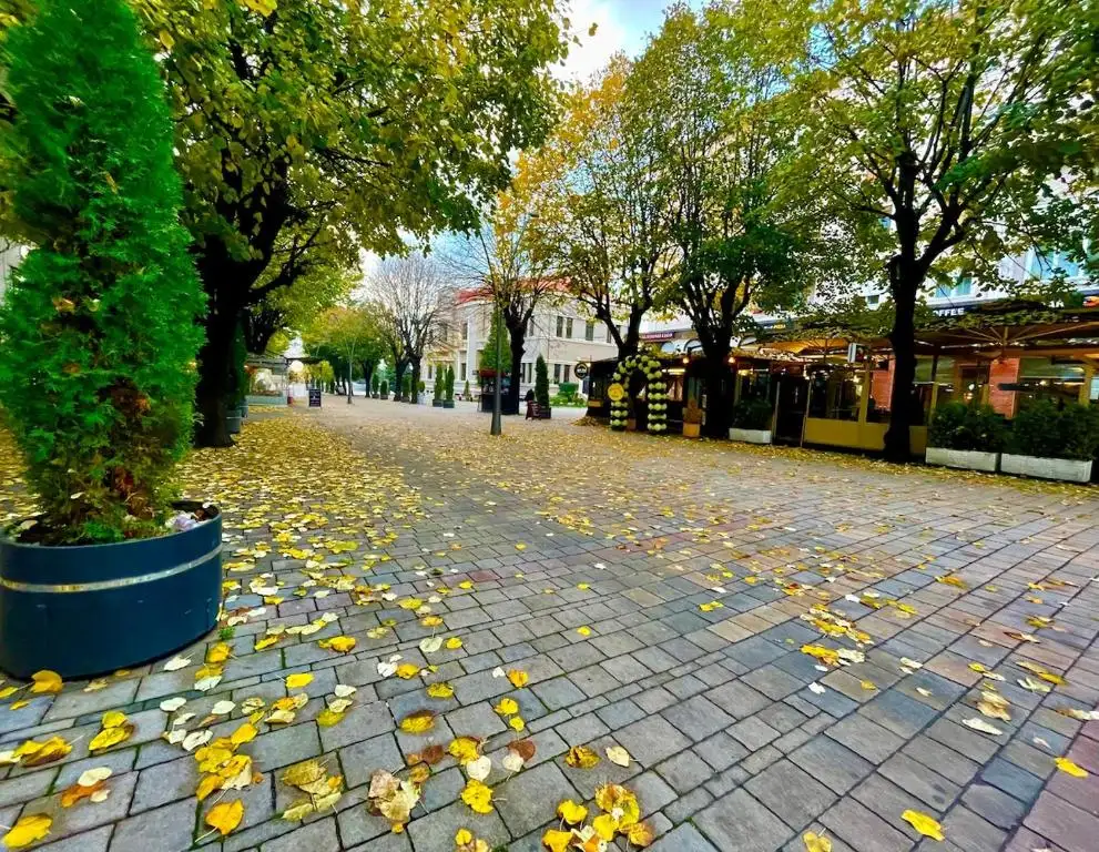 img_id_512389.webp