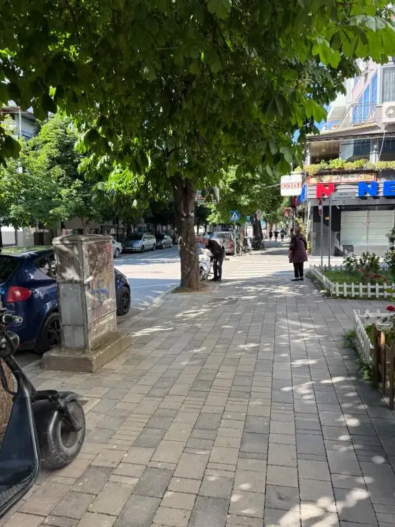 img_id_514005.webp