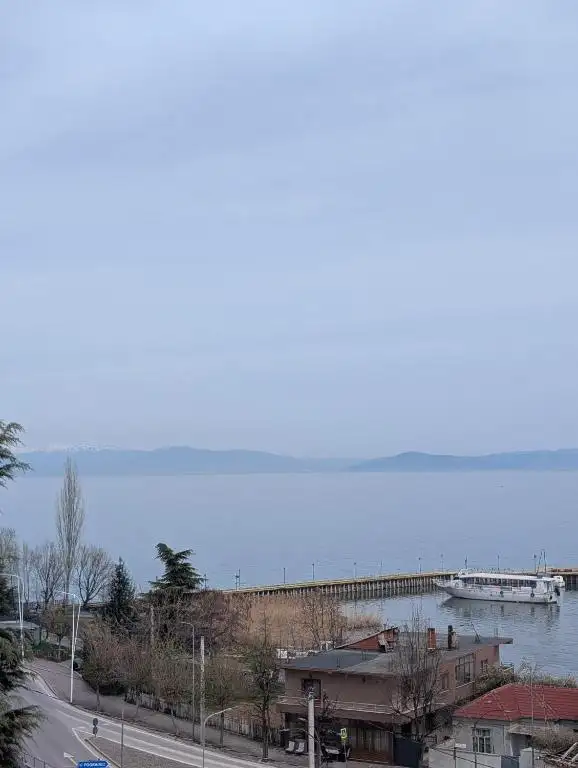 img_id_514134.webp