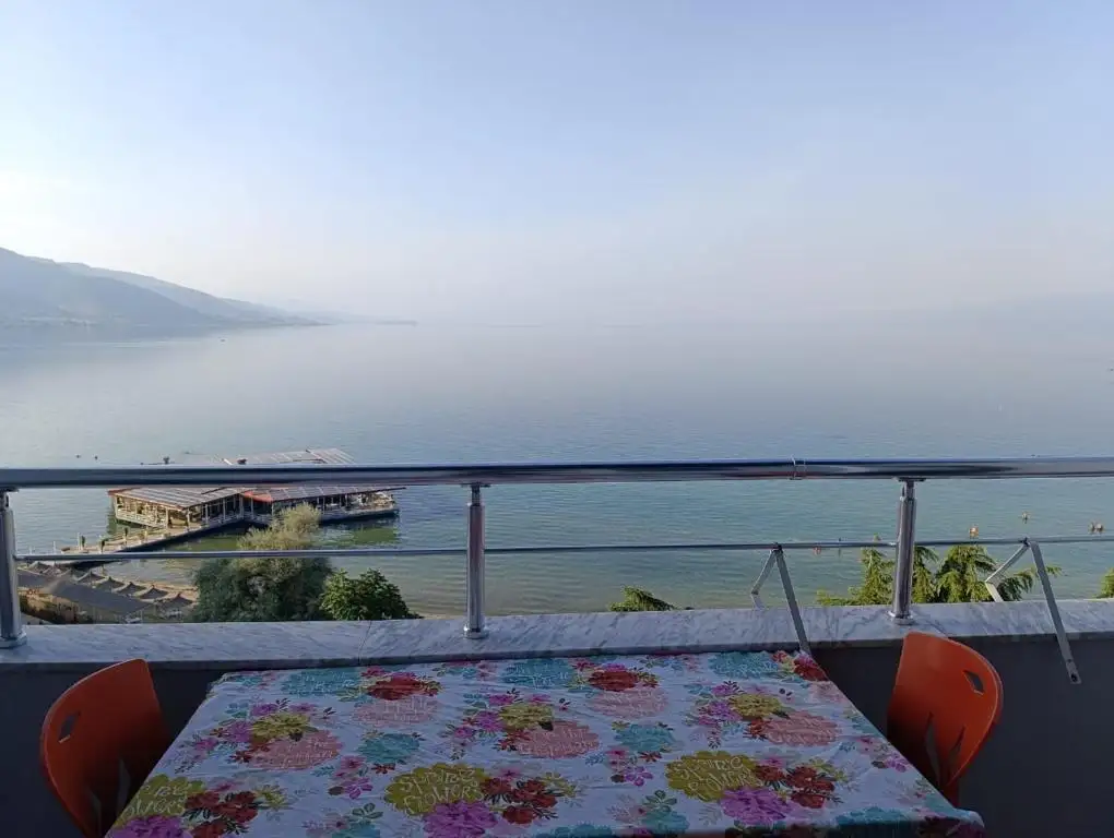 img_id_514582.webp