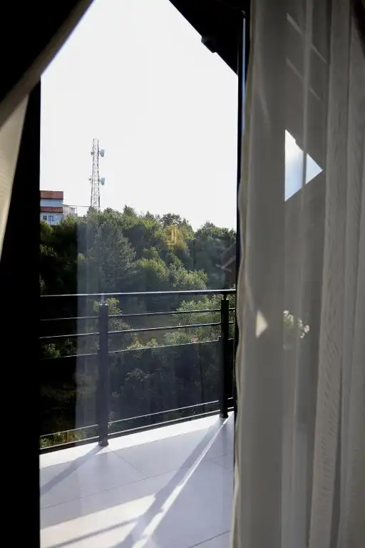 img_id_514875.webp