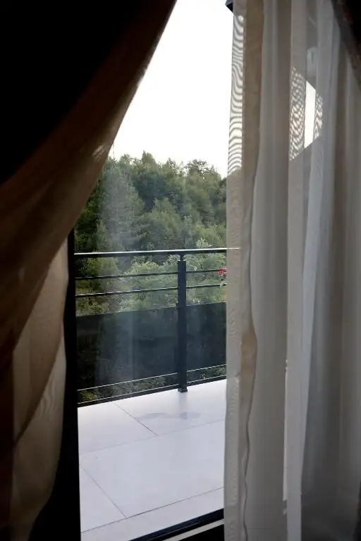 img_id_514890.webp