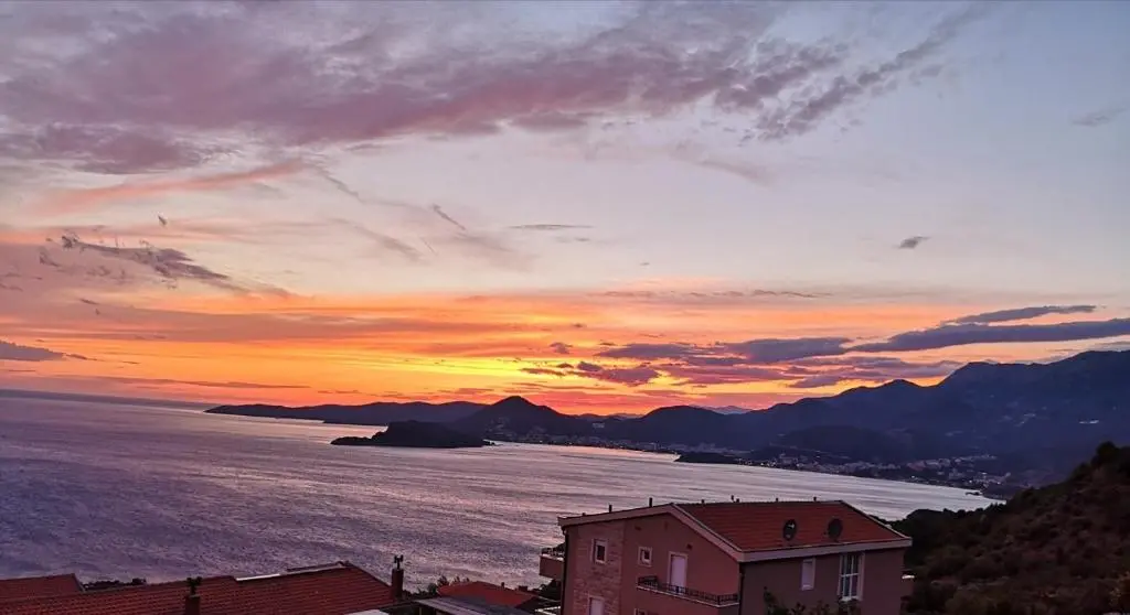 img_id_2207498.webp