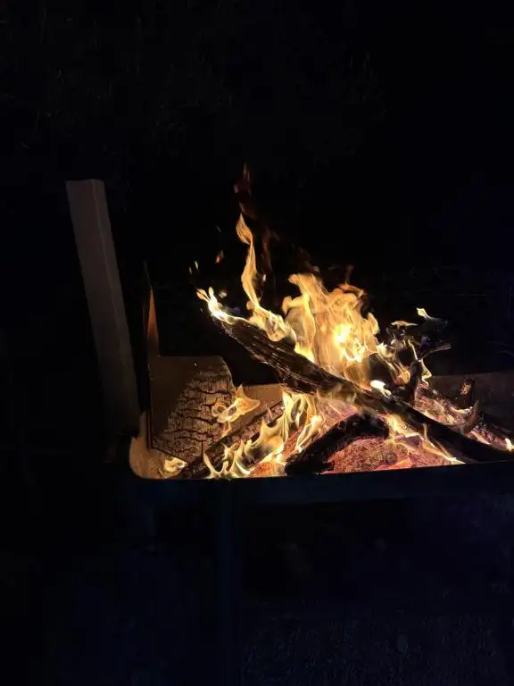 img_id_513566.webp