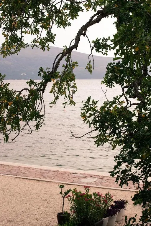 img_id_2207286.webp