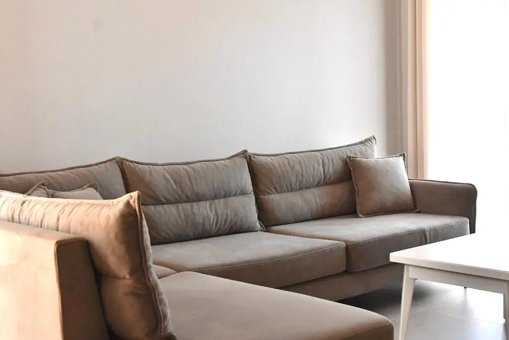 img_id_897092.webp