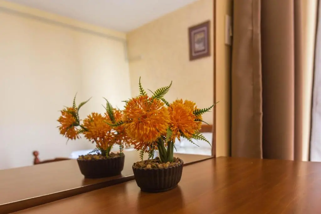 img_id_2206665.webp