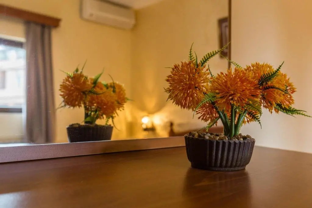 img_id_2206685.webp