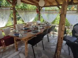 img_id_517390.webp