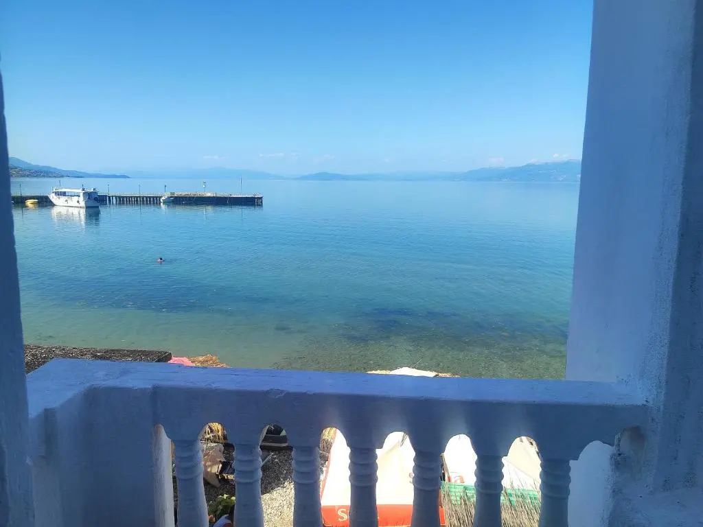 img_id_884428.webp