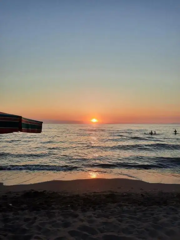 img_id_516599.webp