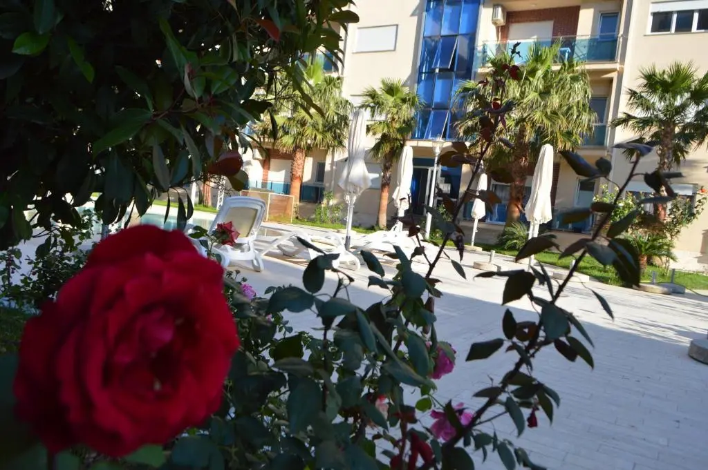 img_id_1315127.webp