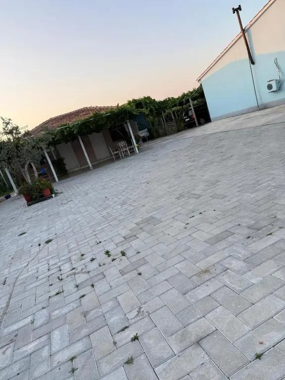 img_id_891574.webp