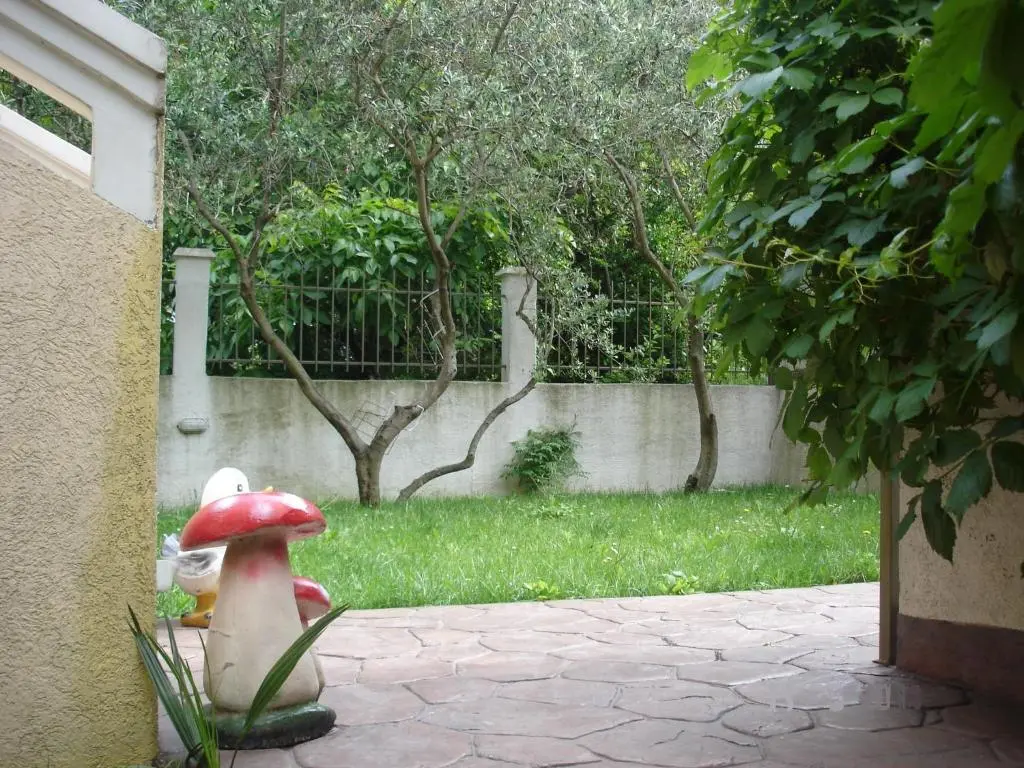 img_id_2205851.webp
