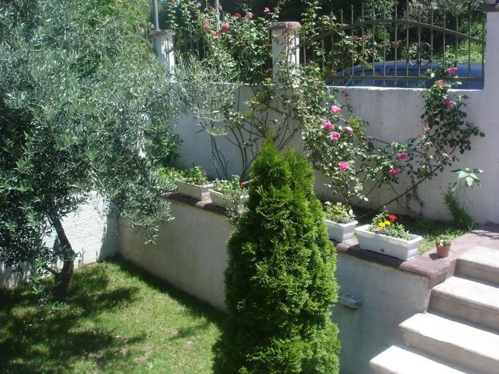 img_id_2205861.webp