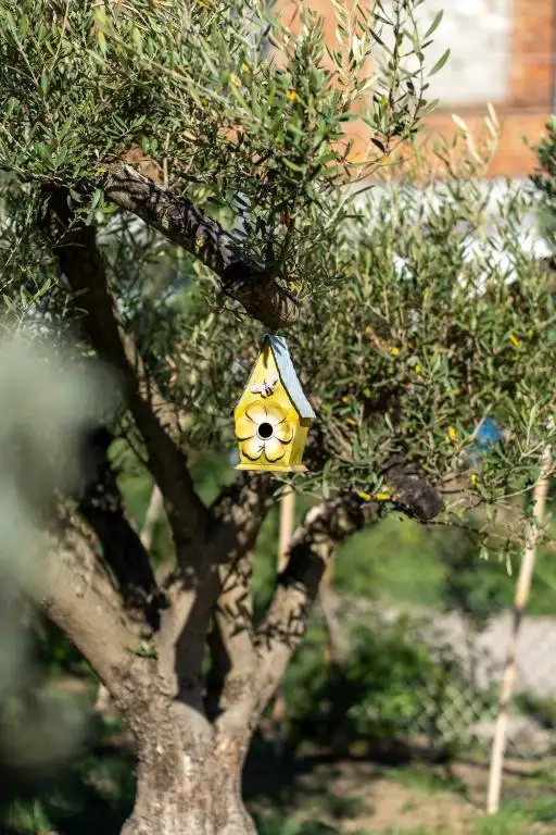 img_id_517883.webp