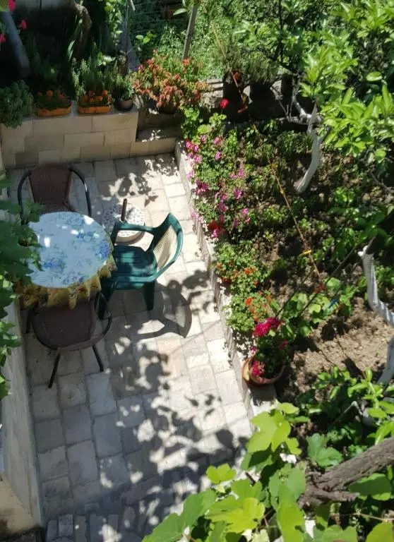 img_id_1635773.webp