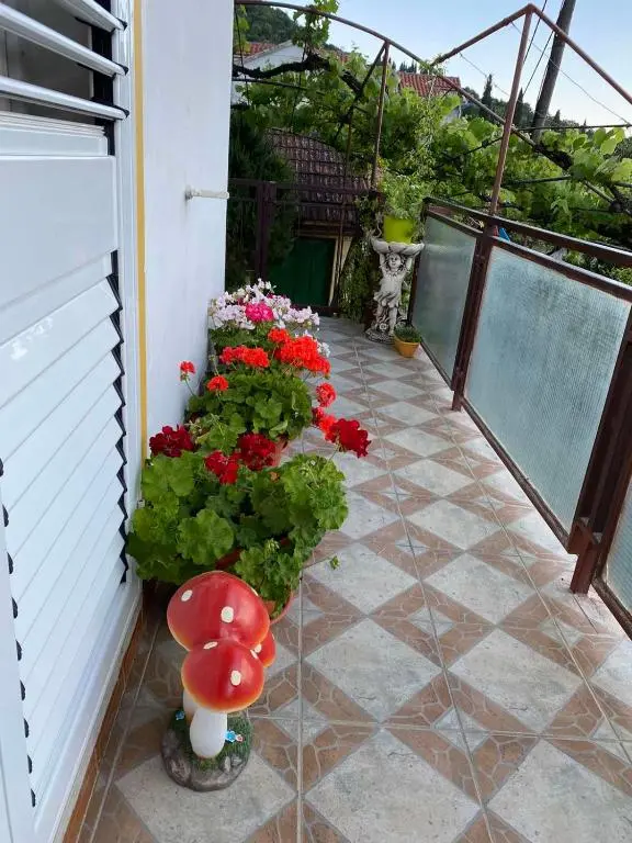 img_id_1635788.webp