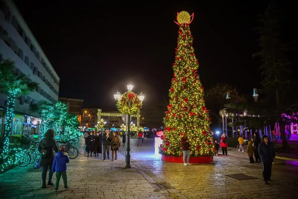 img_id_519140.webp