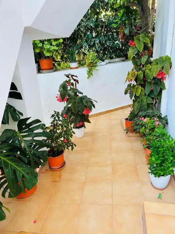 img_id_519881.webp