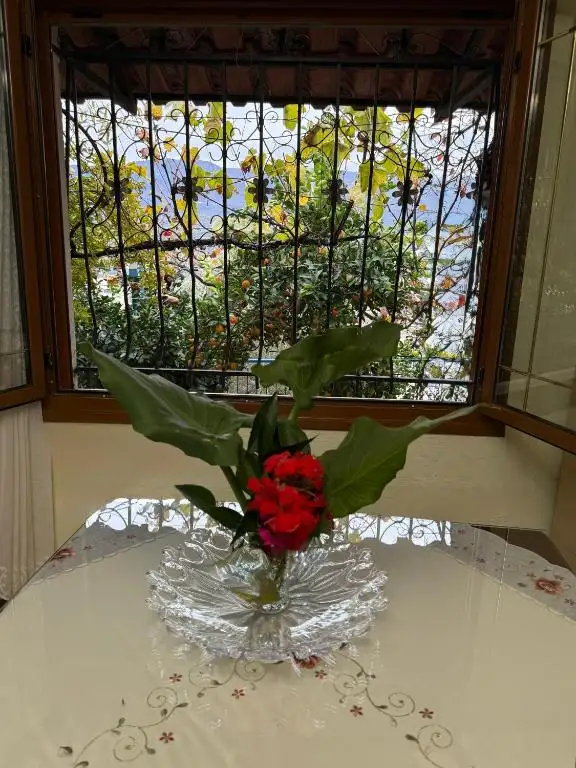 img_id_520570.webp
