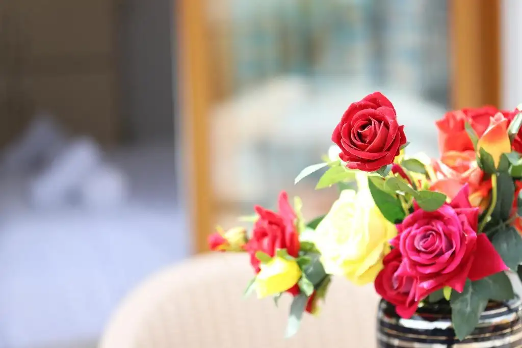 img_id_520616.webp
