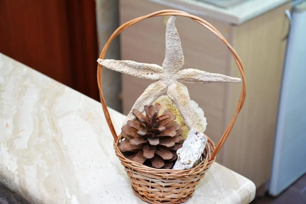 img_id_2204318.webp