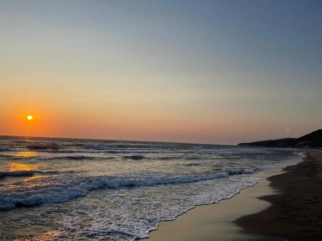 img_id_881137.webp