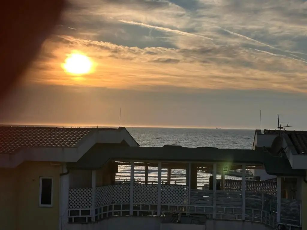 img_id_530073.webp
