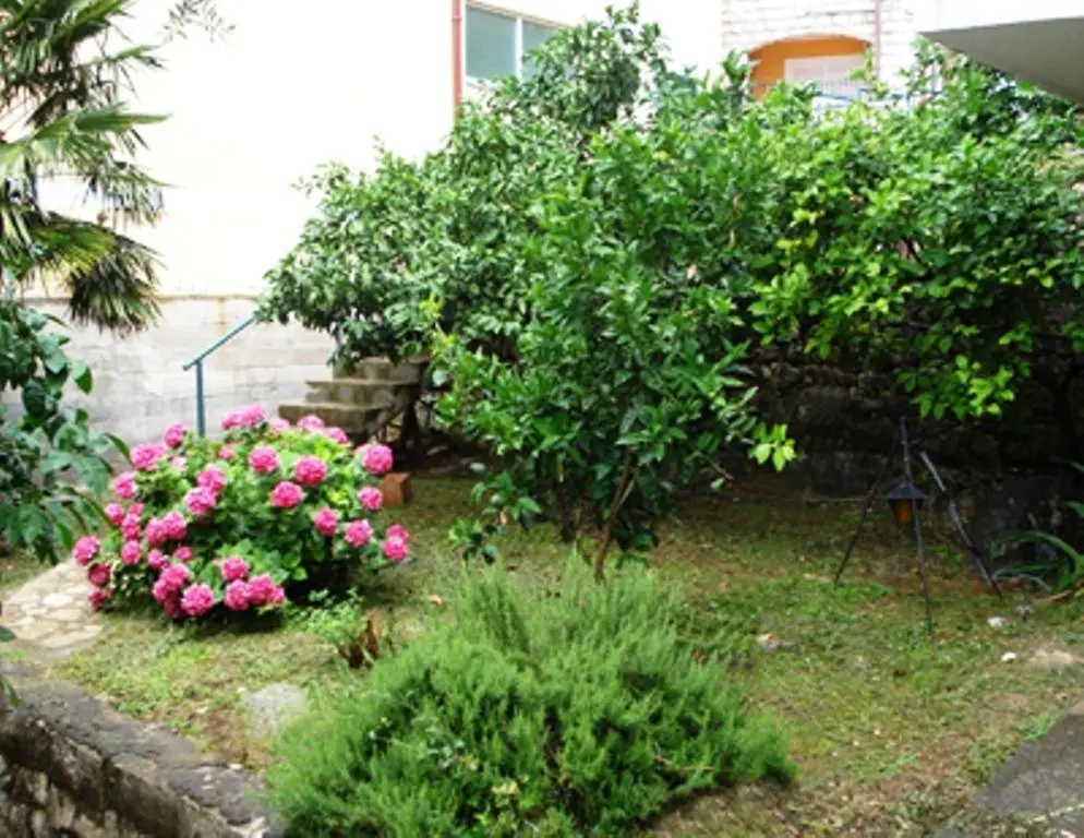 img_id_2204013.webp