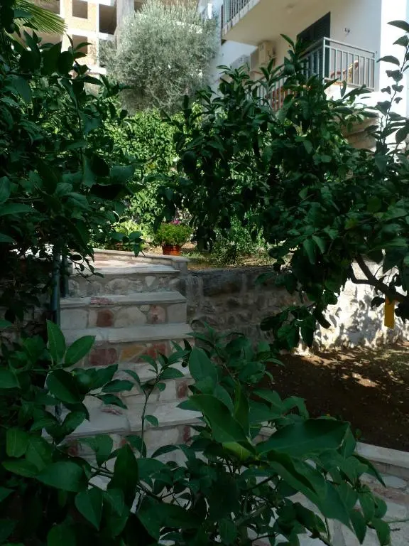 img_id_2204032.webp