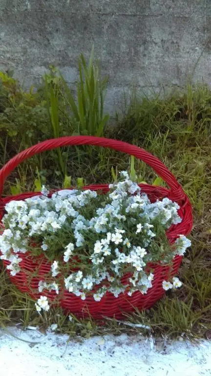 img_id_1639342.webp