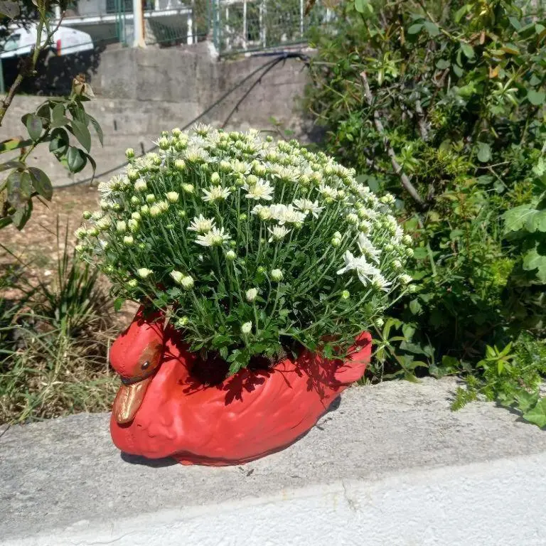 img_id_1639357.webp