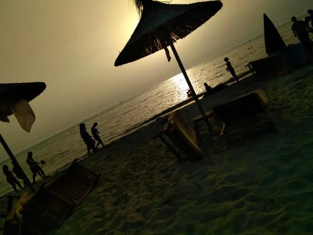 img_id_521522.webp