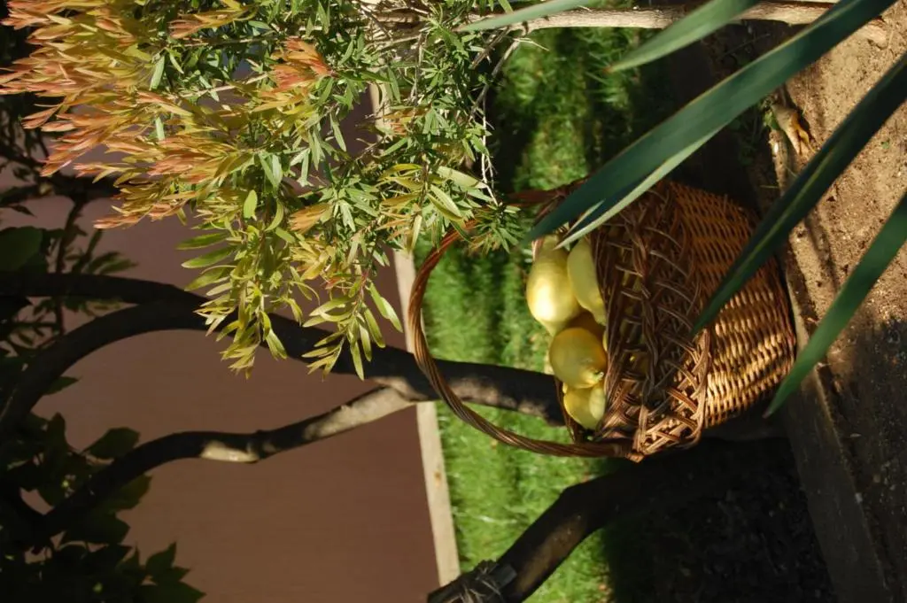 img_id_2203129.webp