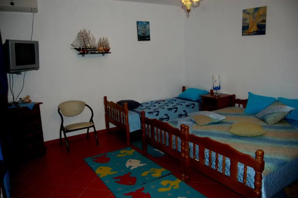 img_id_2203138.webp